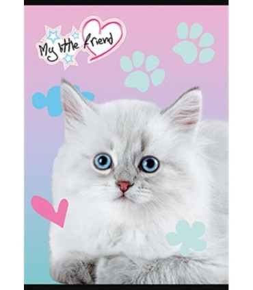 Zeszyt A5/16-kartkowy - kratka, My Little Friend, Unipap