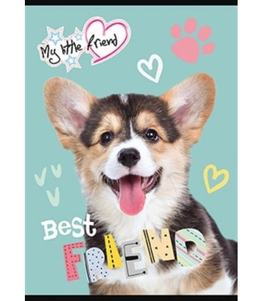 Zeszyt A5/16-kartkowy - kratka, My Little Friend, Unipap