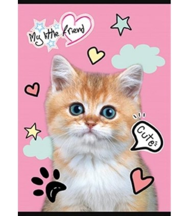 Zeszyt A5/16-kartkowy - kratka, My Little Friend, Unipap