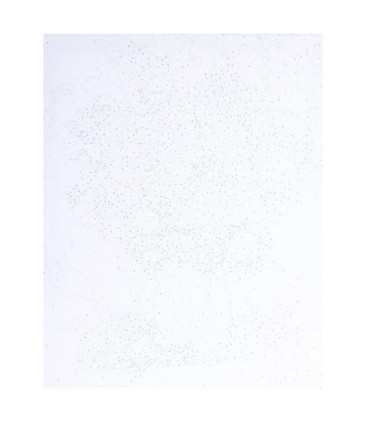 Zestaw - malowanie po numerach Portret w kwiatach ASTRA