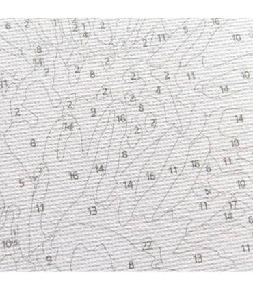 Zestaw - malowanie po numerach Portret w kwiatach ASTRA