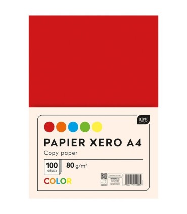 PAPIER XERO A4 KOLOROWY 100 KARTEK 5 INTENSYWNYCH KOLORÓW INTERDRUK