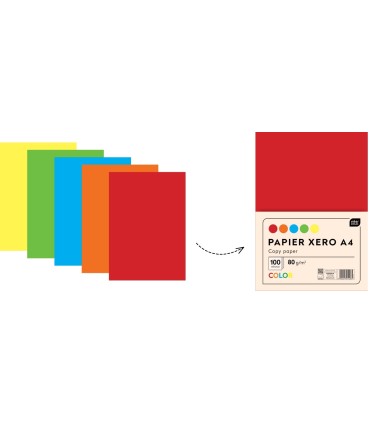 PAPIER XERO A4 KOLOROWY 100 KARTEK 5 INTENSYWNYCH KOLORÓW INTERDRUK
