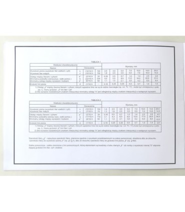 BLOK ĆWICZYMY PISMO TECHNICZNE, A4, INTERDRUK
