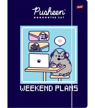 2 X TECZKA Z GUMKĄ A4 PUSHEEN UNIPAP, KAŻDA INNA