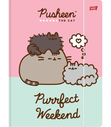 2 X TECZKA Z GUMKĄ A4 PUSHEEN UNIPAP, KAŻDA INNA