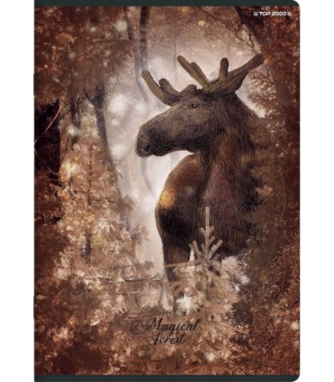 10 X ZESZYT TOP 2000 A5 32 KARTKI, LINIA + MARGINES