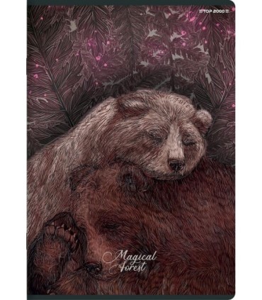 10 X ZESZYT TOP 2000 A5 32 KARTKI, LINIA + MARGINES