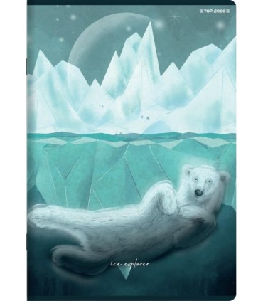 10 X ZESZYT TOP 2000 A5 32 KARTKI, LINIA + MARGINES