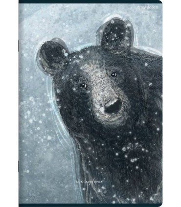 10 X ZESZYT TOP 2000 A5 32 KARTKI, LINIA + MARGINES