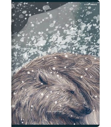 10 X ZESZYT TOP 2000 A5 32 KARTKI, LINIA + MARGINES