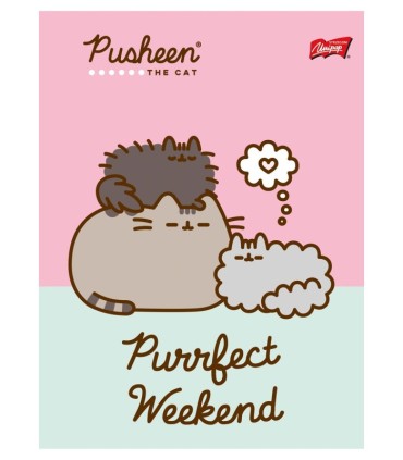 8X ZESZYT A5 32 KARTKI PUSHEEN: 4x TRZY LINIA + 4x KRATKA