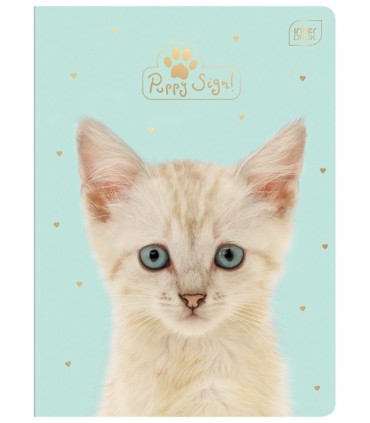 4 X ZESZYT A5, 32 KARTKI, KRATKA Z MARGINESEM, SŁODKIE ZWIERZAKI