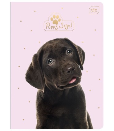 4 X ZESZYT A5, 32 KARTKI, KRATKA Z MARGINESEM, SŁODKIE ZWIERZAKI