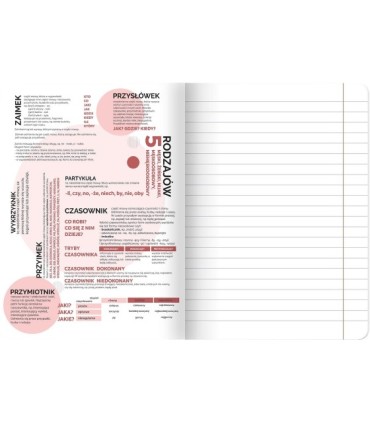 Zeszyt DO POLSKIEGO, A5 60k, TOP-2000, linia z marginesem, przydatne ściągi