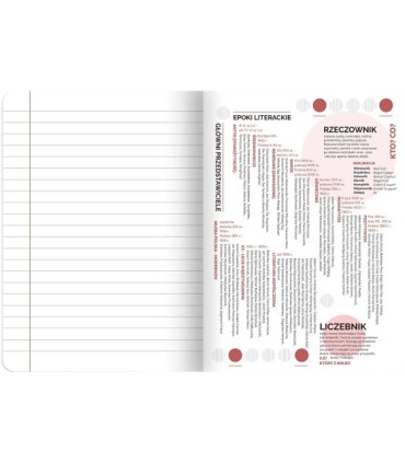 Zeszyt DO POLSKIEGO, A5 60k, TOP-2000, linia z marginesem, przydatne ściągi