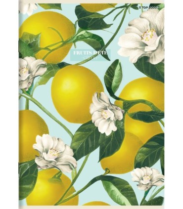 5x ZESZYT TOP 2000 A5 60 KARTEK SUMMER HARVEST CLUB KRATKA KAŻDY INNY