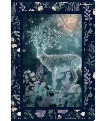 5x ZESZYT TOP 2000 A5 32 KARTKI FAIRYTALE LINIA Z MARGINESEM KAŻDY INNY