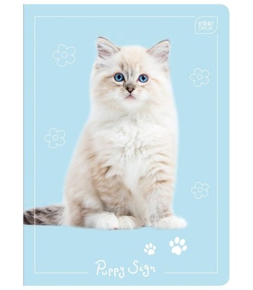 4 X ZESZYT A5, 16 KARTEK, KRATKA, INTERDRUK ZWIERZĄTKA KOTKI PIESKI