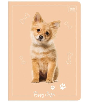 4 X ZESZYT A5, 16 KARTEK, KRATKA, INTERDRUK ZWIERZĄTKA KOTKI PIESKI