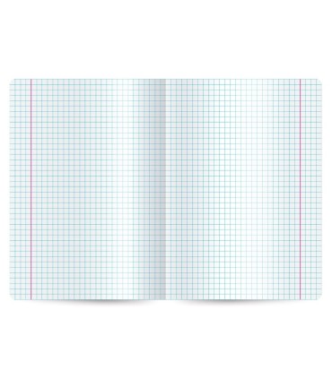 4 X ZESZYT A5, 60 KARTEK, KRATKA Z MARGINESEM, INTERDRUK, DLA DZIEWCZYNY, Botanique