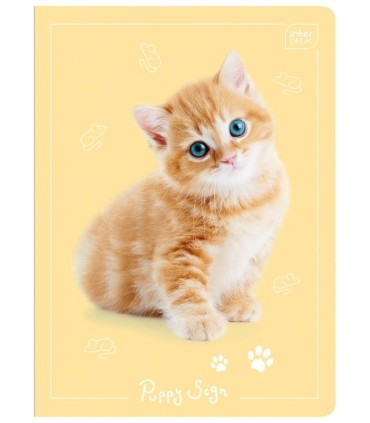 4 X ZESZYT A5, 32 KARTKI, KRATKA Z MARGINESEM, SŁODKIE ZWIERZAKIY