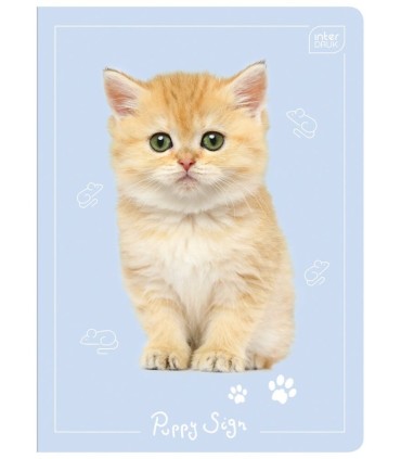 4 X ZESZYT A5, 16 KARTEK, TRZYLINIA, W TRZY LINIE, INTERDRUK, KOTKI, PIESKI