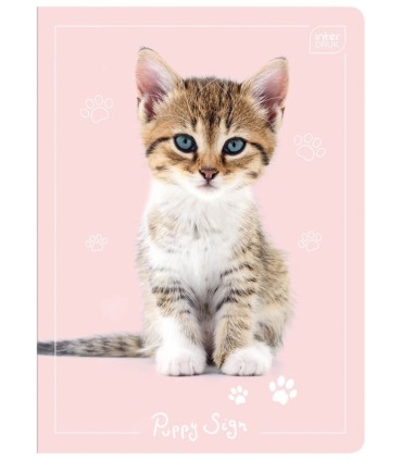 4 X ZESZYT A5, 16 KARTEK, TRZYLINIA, W TRZY LINIE, INTERDRUK, KOTKI, PIESKI