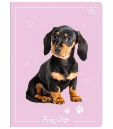 4 X ZESZYT A5, 16 KARTEK, TRZYLINIA, W TRZY LINIE, INTERDRUK, KOTKI, PIESKI