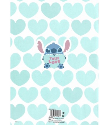 2 SZT X ZESZYT A4 60 KARTEK KRATKA STITCH