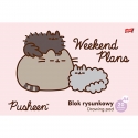 BLOK RYSUNKOWY A4 20 BIAŁYCH KARTEK UNIPAP PUSHEEN