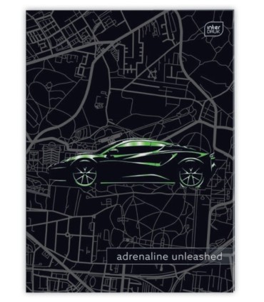 3 X ZESZYT A4, 32 KARTKI, KRATKA Z MARGINESEM, DLA CHŁOPCA, INTERDRUKI