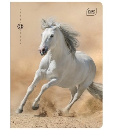 4X ZESZYT A5 DLA DZIEWCZYNKI, 16 KARTEK, KRATKA, ŚCIĄGI,  INTERDRUK