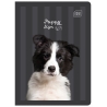 4 X ZESZYT A5, 32 KARTKI, W TRZY LINIE, INTERDRUK PUPPY SIGN