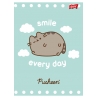8X ZESZYT A5, 32 KARTKI, TRZY LINIA, PUSHEEN KOTEK KOT, KAŻDY INNY