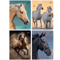 4X ZESZYT A5, 16 KARTEK, KRATKA, KONIE / HORSES, ŚCIĄGI, INTERDRUK
