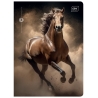 4X ZESZYT A5, 16 KARTEK, KRATKA, KONIE / HORSES, ŚCIĄGI, INTERDRUK
