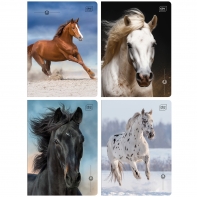 4X ZESZYT A5 16 KARTEK, DO NAUKI PISANIA, W TRZY LINIE, KONIE + ŚCIAGAWKA