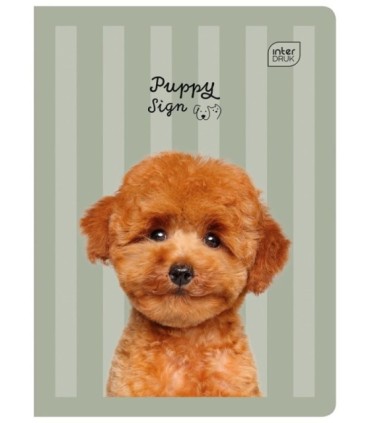 4x zeszyt A5, 32 kartki, kolorowa trzylinia, motywy dziewczęce