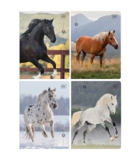4X ZESZYT A5, 32 KARTKI, W TRZY LINIE, KONIE / HORSES, INTERDRUK