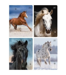 4X ZESZYT A5 16 KARTEK, DO NAUKI PISANIA,  W TRZY LINIE, KONIE + ŚCIAGAWKA