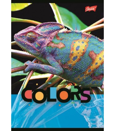 4 SZT. X ZESZYT A5, 32 KARTKI, KRATKA, STITCH, UNIPAP KAŻDY INNY