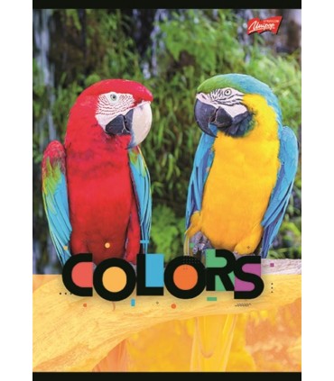 4 SZT. X ZESZYT A5, 32 KARTKI, KRATKA, STITCH, UNIPAP KAŻDY INNY