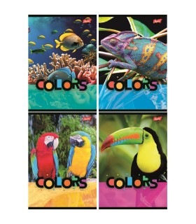 4 SZT. X ZESZYT A5, 32 KARTKI, KRATKA, EXOTIC COLORS, KAŻDY INNY