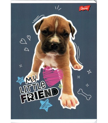 4 SZT. X ZESZYT A5, 32 KARTKI, KOLOROWA TRZYLINIA, KOTKI I PIESKI, KAŻDY INNY