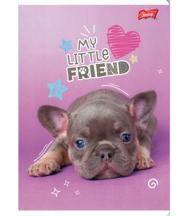 4 SZT. X ZESZYT A5, 32 KARTKI, KOLOROWA TRZYLINIA, KOTKI I PIESKI, KAŻDY INNY