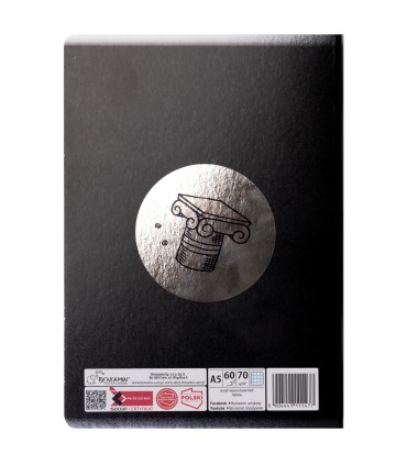 ZESZYT A5 HISTORIA, 60 KARTEK, KRATKA, SREBRNA METALIZA BENIAMIN / REXUS