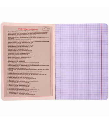 ZESZYT A5 HISTORIA, 60 KARTEK, KRATKA, SREBRNA METALIZA BENIAMIN / REXUS