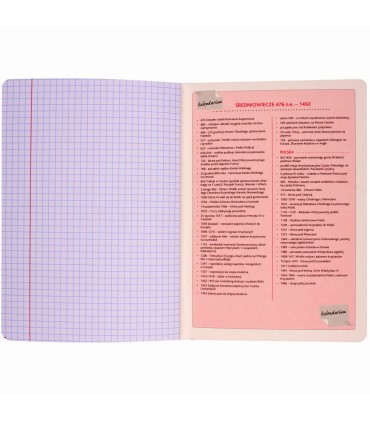 ZESZYT A5 HISTORIA, 60 KARTEK, KRATKA, SREBRNA METALIZA BENIAMIN / REXUS