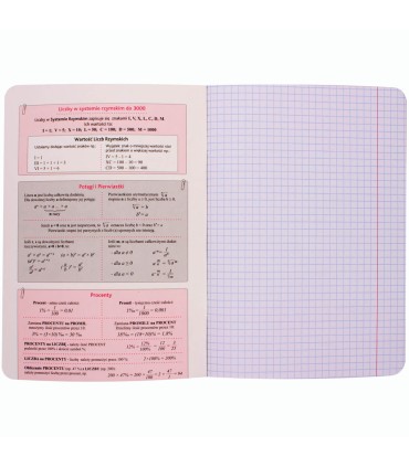ZESZYT A5 MATEMATYKA, 60 KARTEK, KRATKA, SREBRNA METALIZA BENIAMIN / REXUS